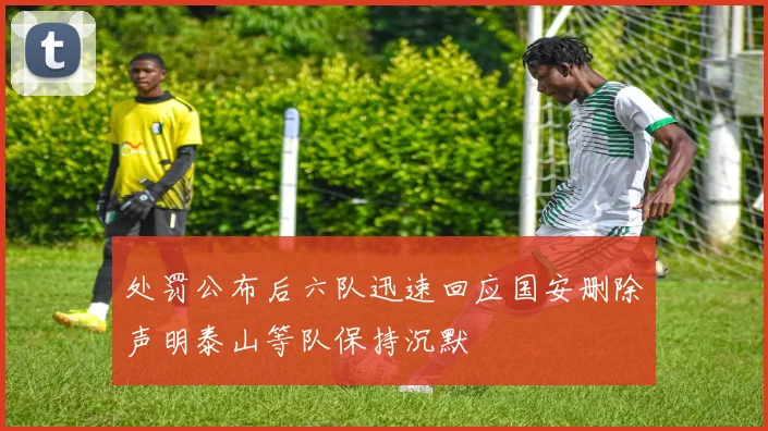 处罚公布后六队迅速回应国安删除声明泰山等队保持沉默