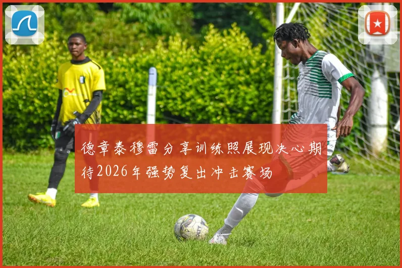 德章泰穆雷分享训练照展现决心期待2026年强势复出冲击赛场